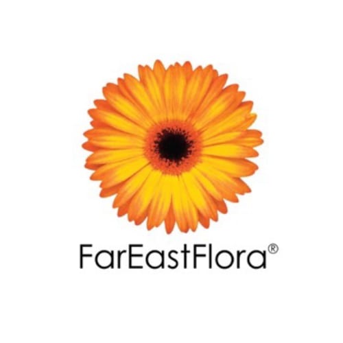 A secondary logo of Far East Flora, one of the customers who use Edgeworks POS System.