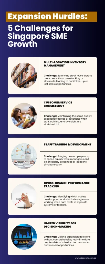 An infographic of common business growth challenges